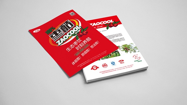 濟(jì)南LOGO設(shè)計(jì),濟(jì)南品牌策劃,濟(jì)南標(biāo)志設(shè)計(jì),山東設(shè)計(jì)公司,濟(jì)南平面設(shè)計(jì)