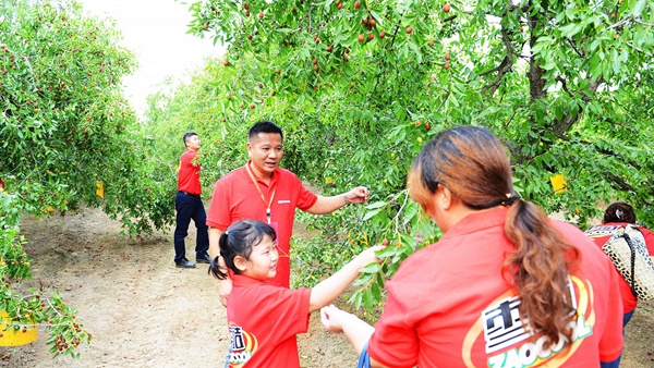 濟(jì)南LOGO設(shè)計(jì),濟(jì)南品牌策劃,濟(jì)南標(biāo)志設(shè)計(jì),山東設(shè)計(jì)公司,濟(jì)南平面設(shè)計(jì)