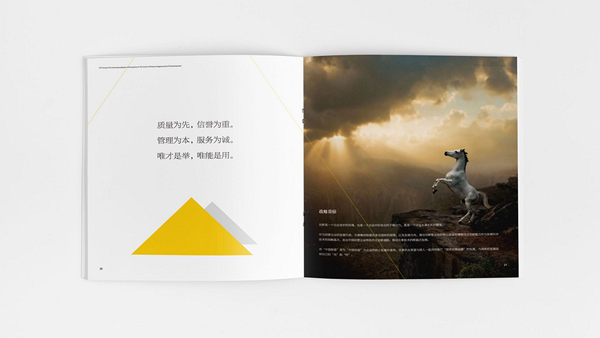 濟(jì)南畫冊(cè)設(shè)計(jì), 山東畫冊(cè)設(shè)計(jì),濟(jì)南視覺設(shè)計(jì),山東視覺設(shè)計(jì)