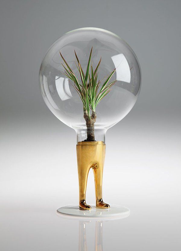 玻璃的藝術(shù)作品