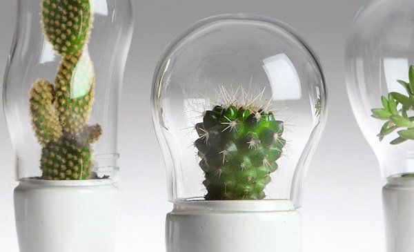 玻璃的藝術(shù)作品