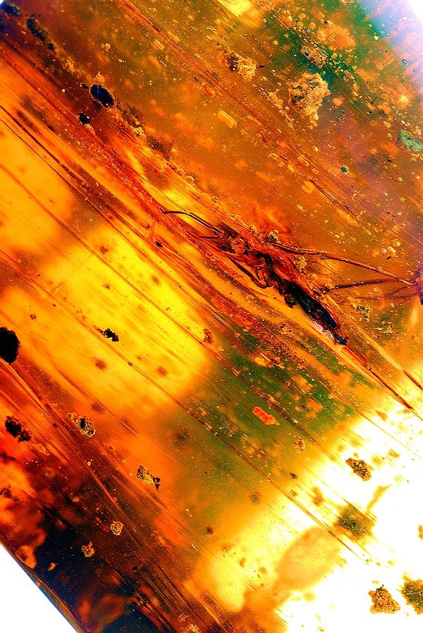 琥軒,天然緬甸琥珀,珠寶品牌,形象設(shè)計(jì),商業(yè)攝影