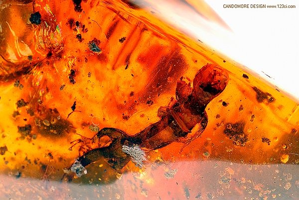 琥軒,天然緬甸琥珀,珠寶品牌,形象設(shè)計(jì),商業(yè)攝影